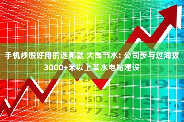 手机炒股好用的选哪款 大禹节水: 公司参与过海拔3000+米以上某水电站建设