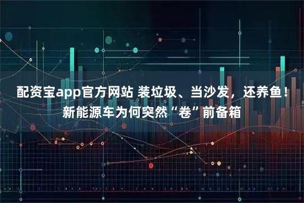 配资宝app官方网站 装垃圾、当沙发，还养鱼！新能源车为何突然“卷”前备箱